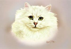 Chinchilla Persian Cat Print