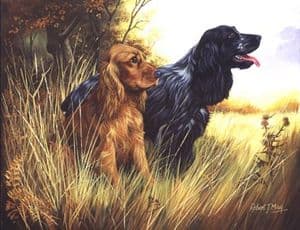 Cocker Spaniel Open Edition Print RMGD7