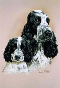 Cocker Spaniel & Pup Print RMDH45