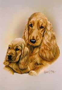 Cocker Spaniel & Pup Print RMDH46