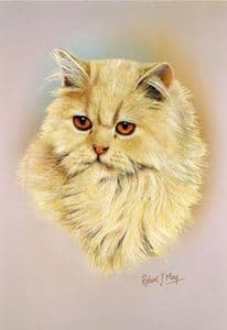 Cream Persian Cat Print