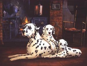 Dalmatian Open Edition Print RMFF2