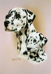 Dalmatian & Pup Print RMDH62