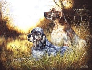 English Setter Open Edition Print RMGD8