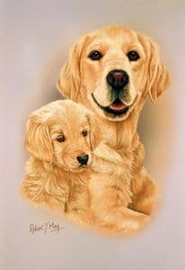 Golden Retriever & Pup Print RMDH79