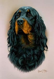 Gordon Setter Head Study Print RMDH155