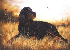 Gordon Setter Open Edition Print RMGDP1