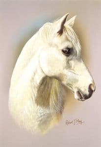 Horse Head Study Print RMHH2
