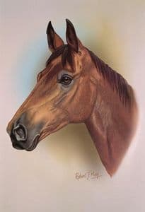 Horse Head Study Print RMHH3