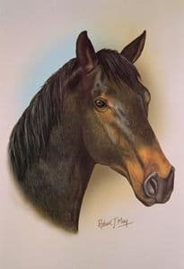 Horse Head Study Print RMHH4