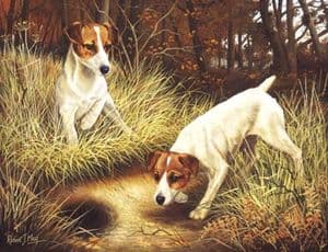 Jack Russell Open Edition Print RMGD6