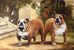 Limited Edition Bulldog Print RMLE51