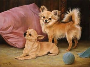 Limited Edition Chihuahua Print RMLE9