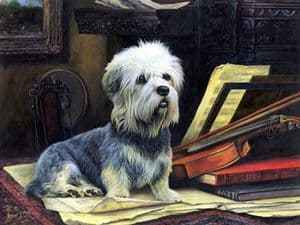 Limited Edition Dandie Dinmont Print RMLE25