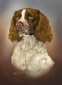 Limited Edition English Springer Spaniel Print RMLE73