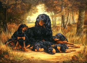 Limited Edition Gordon Setter Print RMLE2