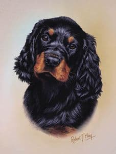 Limited Edition Gordon Setter Pup Print