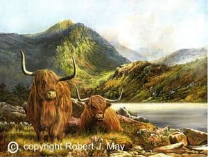 Limited Edition Highland Cattle Print  RMLE 104
