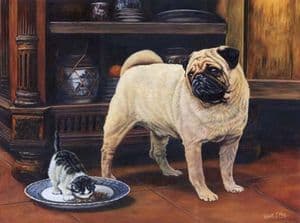 Limited Edition Pug Print RMLE26