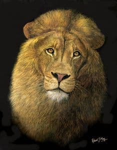 Lion head study Painting
