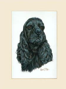 Original American Cocker Spaniel Painting (black)