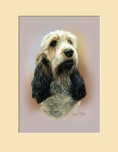 Original Basset Griffon Vendeen Head Study Painting