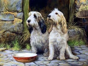 Original Basset Griffon Vendeen Painting