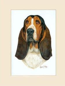 Original Basset Hound Painting 2