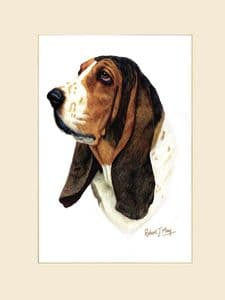 Original Basset Hound Painting