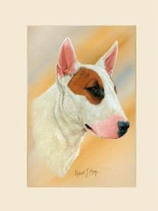 Original Bull Terrier Painting