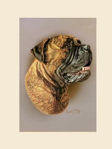 Original Bullmastiff Painting