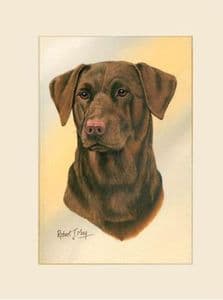 Original Chocolate Labrador Retriever Painting