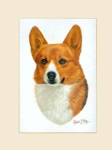 Original Corgi Painting
