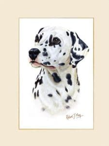 Original Dalmatian Painting