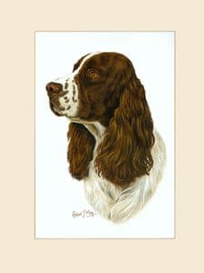 Original English Springer Spaniel Painting 2