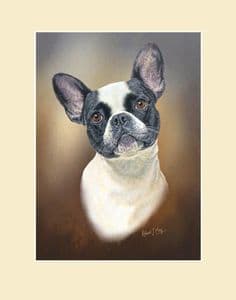 Original French Bulldog Gouache Painting