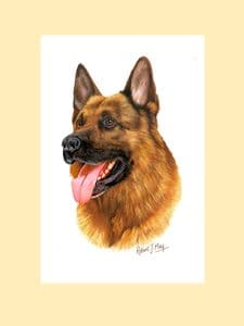 Original German Shepherd Painting by Robert J. May