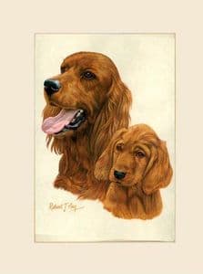 Original Irish Setter & Pup Painting