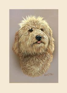 Original Labradoodle Painting