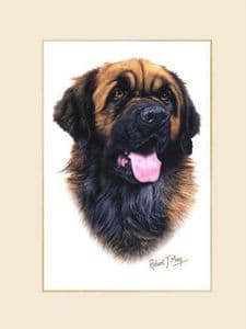 Original Leonberger Painting