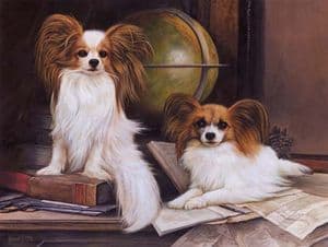 Original Papillon Painting