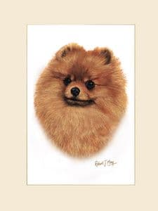 Original Pomeranian Painting