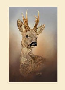 Original Roe Deer Head Study Painting