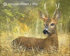 Original Roebuck Painting