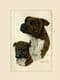 Original Staffordshire Bull Terrier & Pup Painting