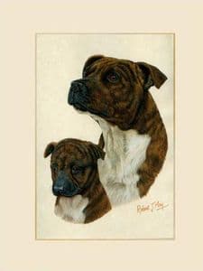 Original Staffordshire Bull Terrier & Pup Painting