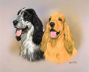 Signed Cocker Spaniel Print DD004