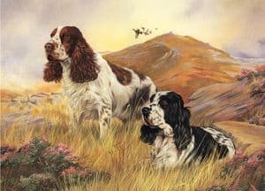 Signed Cocker Spaniel Print WGD005