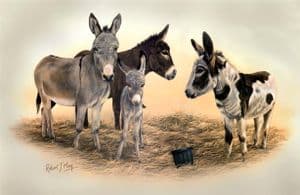 Signed Donkey Print RMHH5