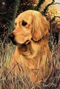 Signed Golden Retriever Print RMSH02